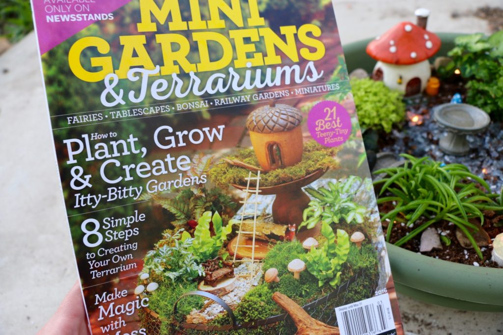 Mini Gardens & Terrariums Magazine