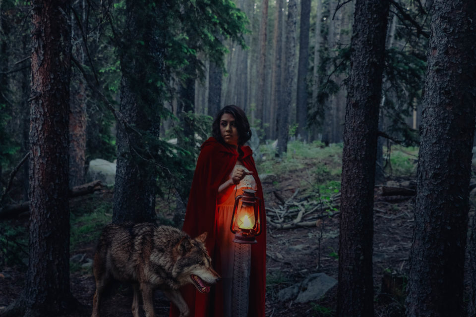 little red riding hood with wolf in woods